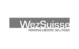 WEZ Logo